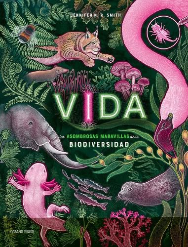 Cover image for Vida: Las Asombrosas Maravillas de la Biodiversidad / Life: The Wild Wonders of Biodiversity