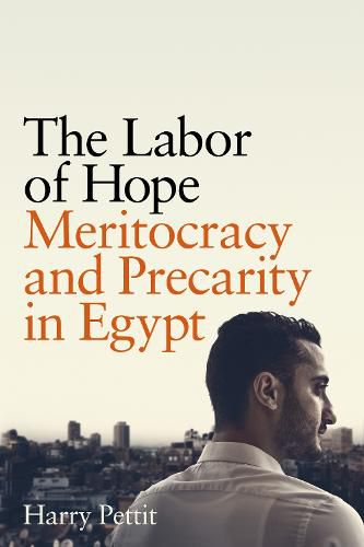 Cover image for The Labor of Hope