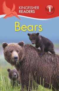 Cover image for Bears