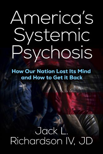 Cover image for America's Systemic Psychosis