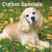 Cover image for Cocker Spaniels 2020 Square