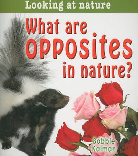 Cover image for What are opposites in nature?