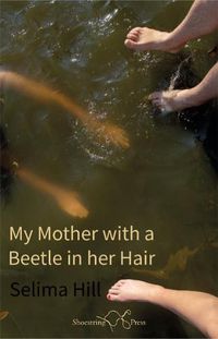 Cover image for My Mother with a Beetle in her Hair