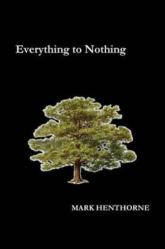 Cover image for Everything to Nothing