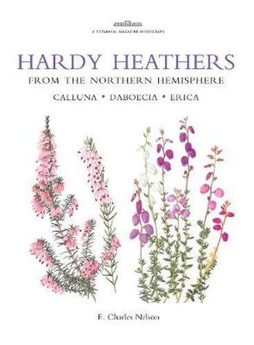 Cover image for Botanical Magazine Monograph. Hardy Heathers from the Northern Hemisphere