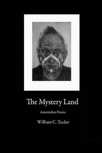 Cover image for The Mystery Land