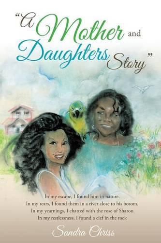 Cover image for A Mother and Daughters Story