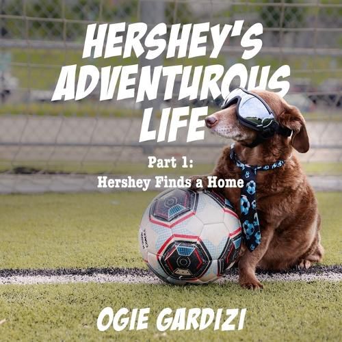 Cover image for Hershey's Adventurous Life: Part 1: Hershey Finds a Home