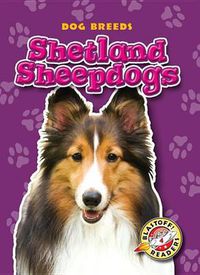 Cover image for Shetland Sheepdogs
