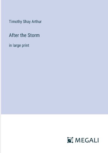 Cover image for After the Storm