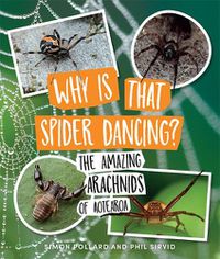 Cover image for Why Is That Spider Dancing?: The Amazing Arachnids of Aotearoa