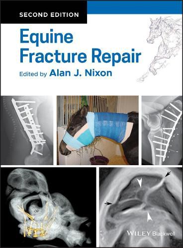 Cover image for Equine Fracture Repair