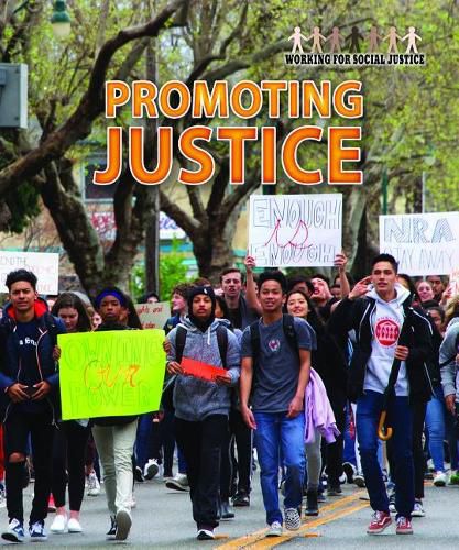 Cover image for Promoting Justice