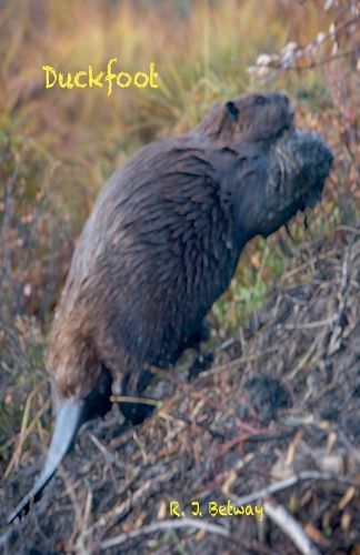 Cover image for Duckfoot