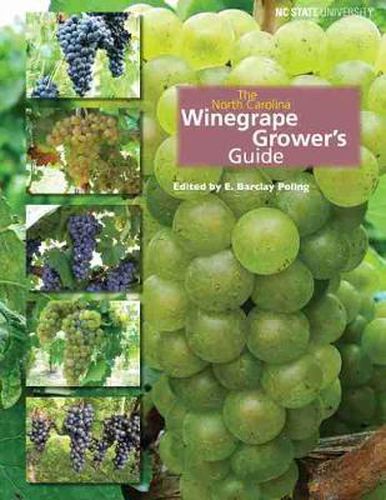 Cover image for The North Carolina Winegrape Grower's Guide