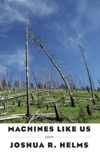 Cover image for Machines Like Us