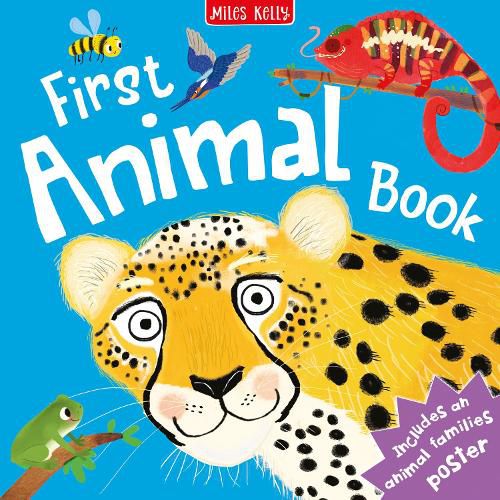 Cover image for First Animal Book
