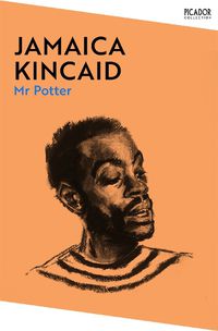 Cover image for Mr Potter