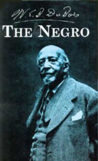 Cover image for The Negro