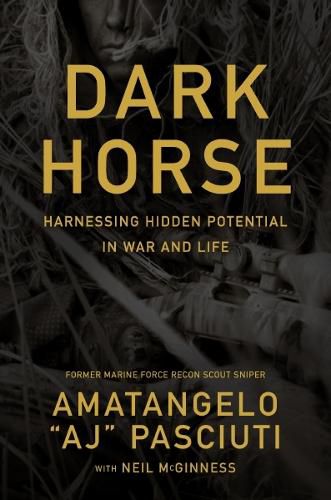 Cover image for Darkhorse