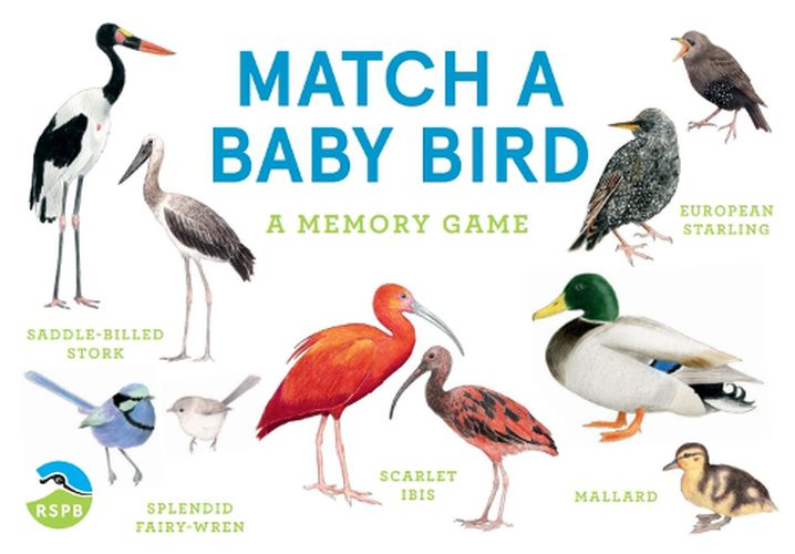 Match a Baby Bird