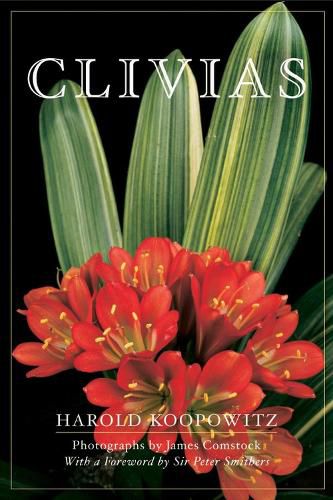 Cover image for Clivias