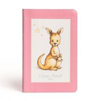 Cover image for CSB Great and Small Bible, Pink LeatherTouch