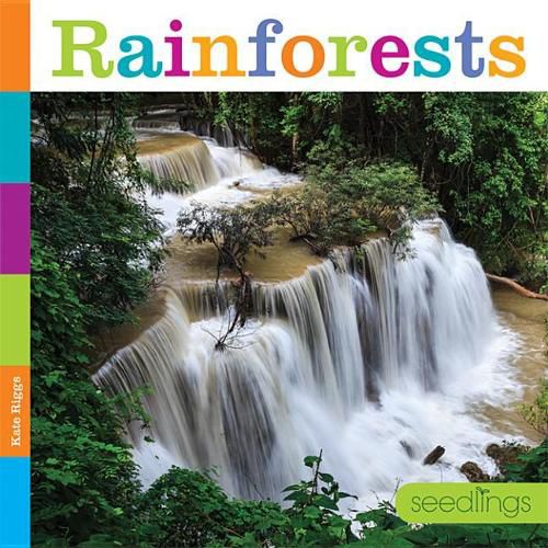 Cover image for Rainforests