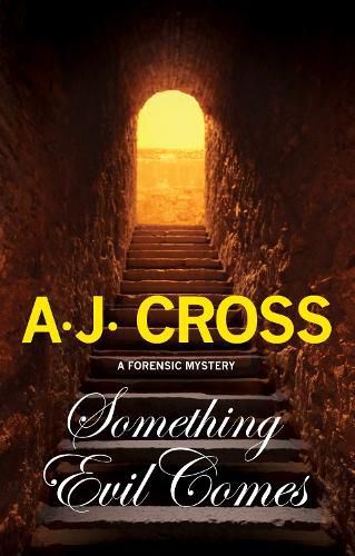 Cover image for Something Evil Comes