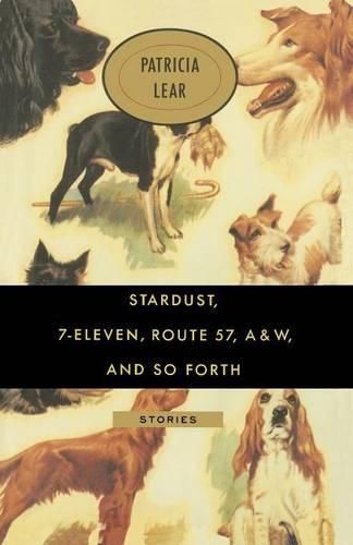 Cover image for Stardust, 7-Eleven, Route 57, A&W, and So Forth: Stories