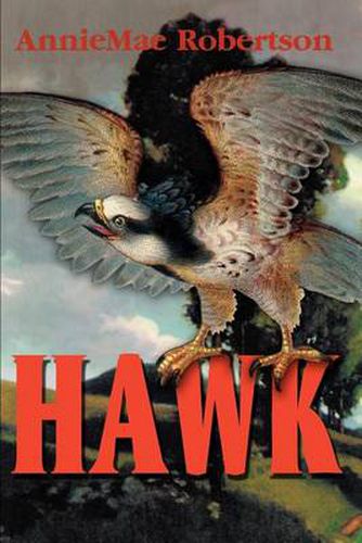 Cover image for Hawk