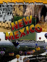 Cover image for New Mexico