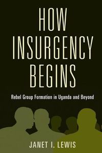 Cover image for How Insurgency Begins: Rebel Group Formation in Uganda and Beyond