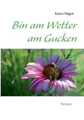 Cover image for Bin am Wetter am Gucken: Roman