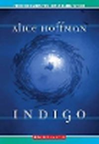 Cover image for Indigo