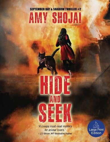 Cover image for Hide And Seek