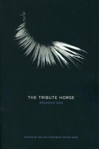 Cover image for The Tribute Horse