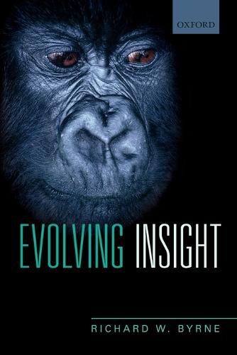 Evolving Insight