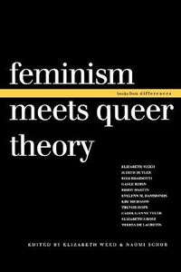 Cover image for Feminism Meets Queer Theory