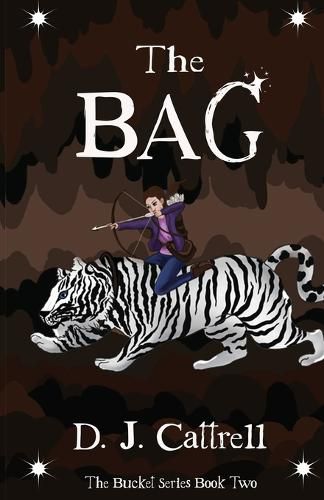 Cover image for The Bag