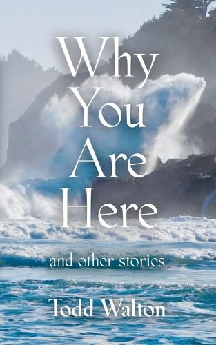 Cover image for Why You Are Here: and other stories