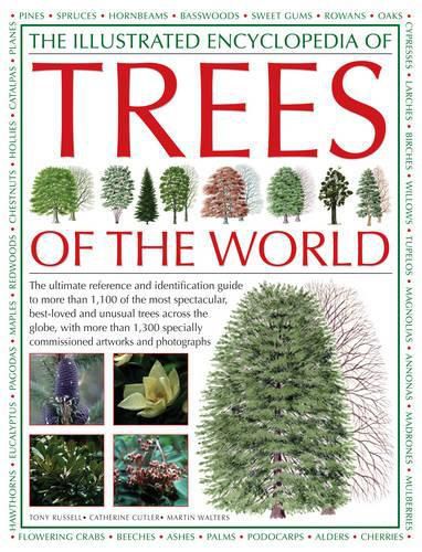 Cover image for The Illustrated Encyclopedia of Trees of the World