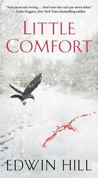 Cover image for Little Comfort