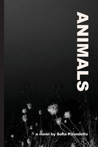 Cover image for Animals