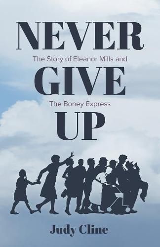 Cover image for Never Give Up