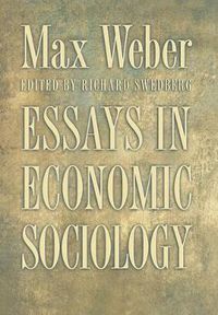 Cover image for Essays in Economic Sociology