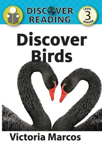 Cover image for Discover Birds