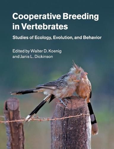 Cover image for Cooperative Breeding in Vertebrates: Studies of Ecology, Evolution, and Behavior