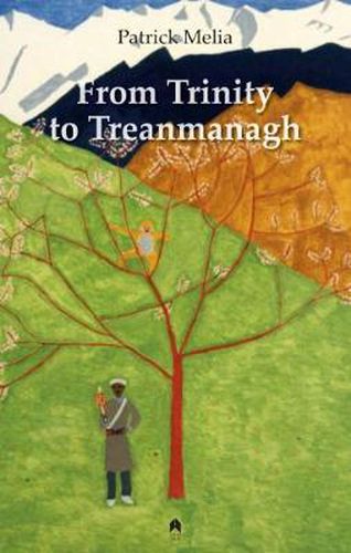 Cover image for From Trinity to Treanmanagh