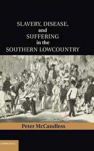 Cover image for Slavery, Disease, and Suffering in the Southern Lowcountry